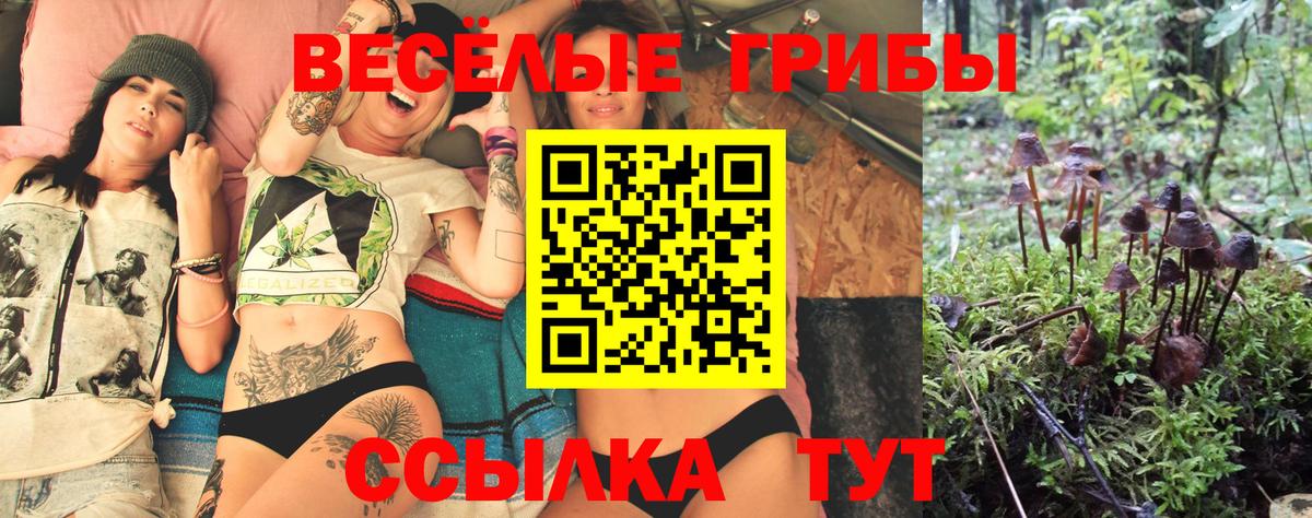 Сафоново  Псилоцибиновые грибы мухоморы  Вход с VPN 