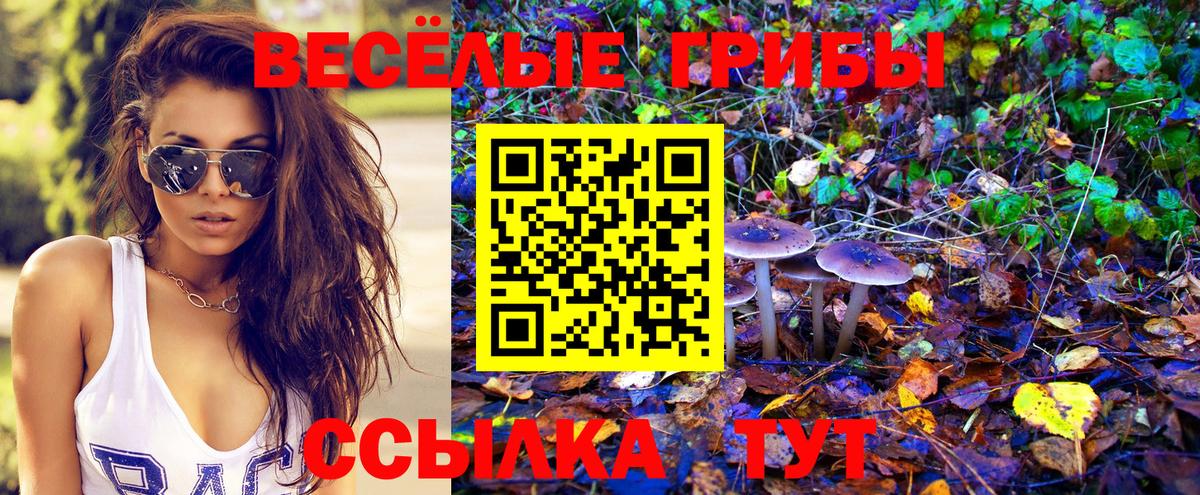 Галлюциногенные грибы мухоморы Сафоново